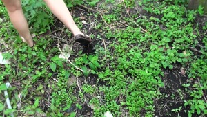 StreetBlowjobs: Oxaunna Envy & Bruno Dickens sex video