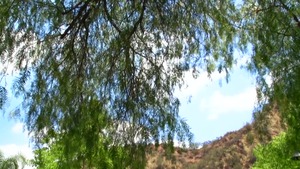 Brazzers.com: Selena Santana and Keiran Lee fucked missionary