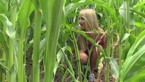 video art holland: Sowing Seeds of Satisfaction